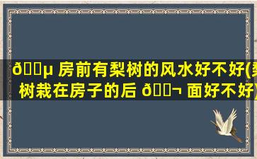 🌵 房前有梨树的风水好不好(梨树栽在房子的后 🐬 面好不好)